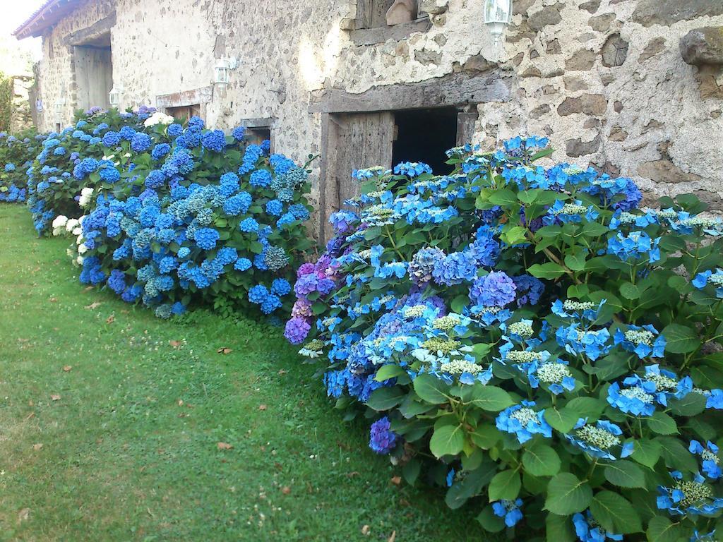Le Domaine De Panissac Bed and Breakfast Berneuil  Exteriör bild